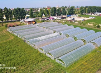 (RO) Drochia: Uscătoria de fructe SRL „Famnat-Fruct” și GȚ „Maria Darii”