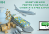 Granturi de până la 2 milioane de lei pentru companiile orientate spre export