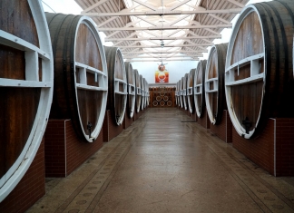 (RO) S.A. „Barza Albă” din Bălți